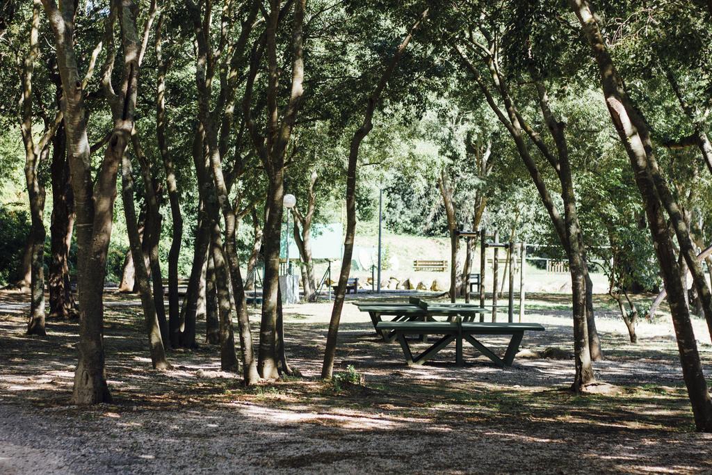 Hotel Camping Le Bois Fleuri Argelès-sur-Mer Esterno foto