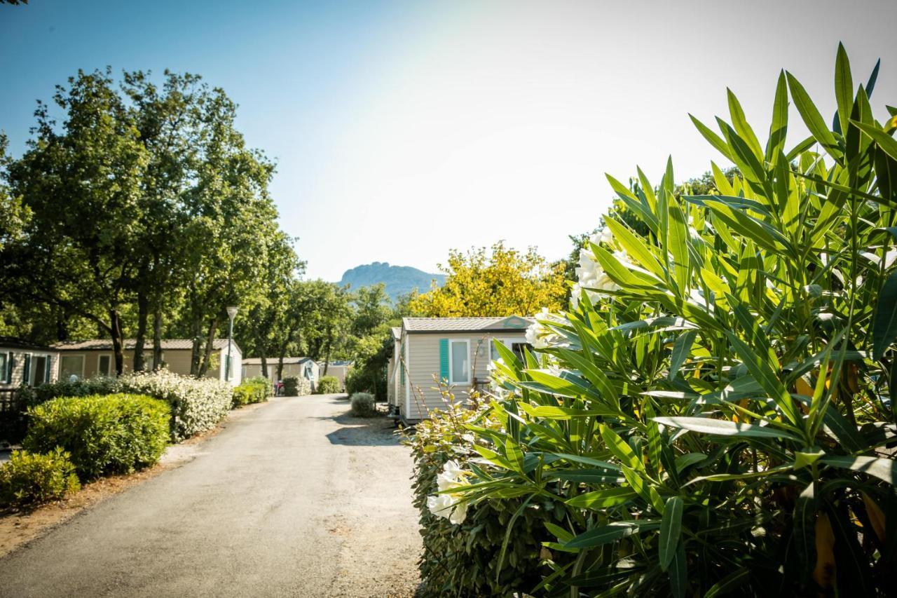 Hotel Camping Le Bois Fleuri Argelès-sur-Mer Esterno foto